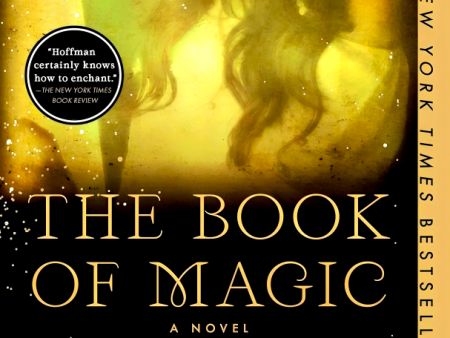 The Practical Magic Series #4: The Book Of Magic Fashion