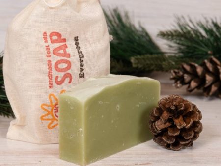 Evergreen Goat Milk Soap Fashion