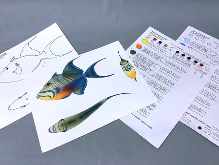 Clown Triggerfish Packet Hot on Sale