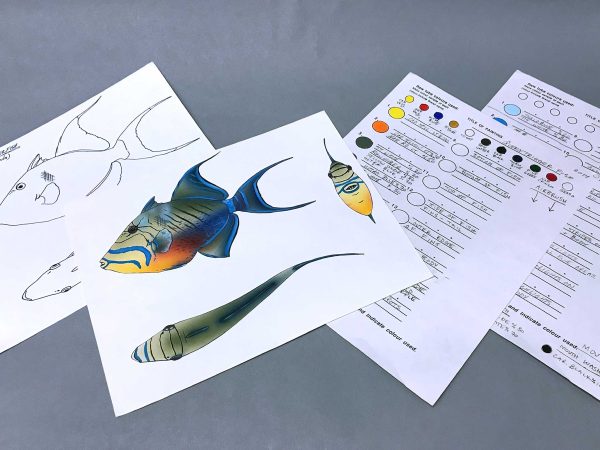 Clown Triggerfish Packet Hot on Sale