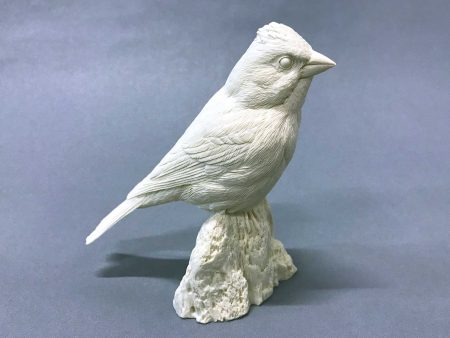 Purple Finch Cast Discount