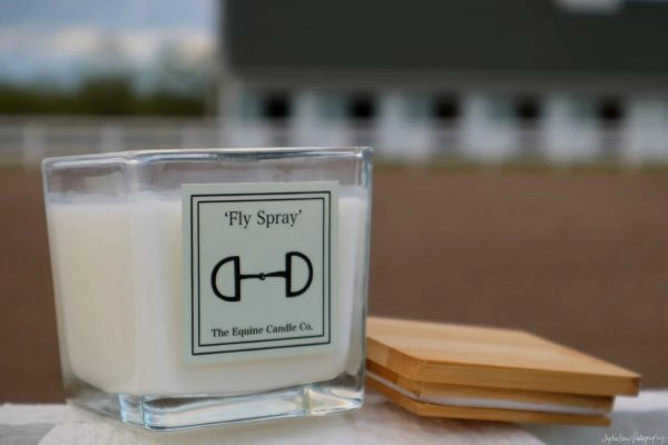 The Equine Candle Co - Fly Spray For Cheap