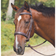 Avignon Wellington Bridle Discount