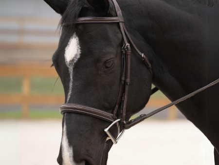 KL Select Black Oak Cyprus Hunter Bridle For Discount