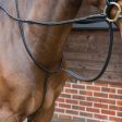 Shires Lusso Standing Martingale Discount