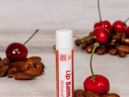 Almond Goat Milk Lip Balm Online now