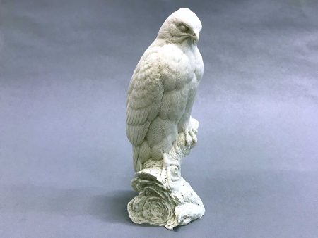 Red-shouldered Hawk 1 3 scale Cast Online now