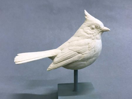 Tufted Titmouse Cast Hot on Sale