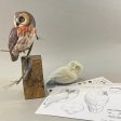 Saw-whet Owl-Combo Pack(9 products included) Online