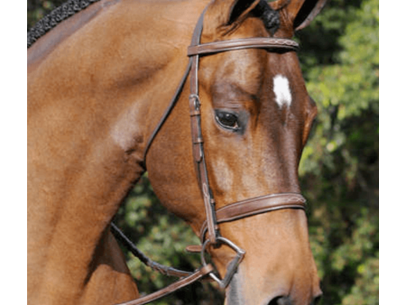 Arc De Triomphe Tribute Hunter Bridle with Raised Fancy Laced Reins For Discount