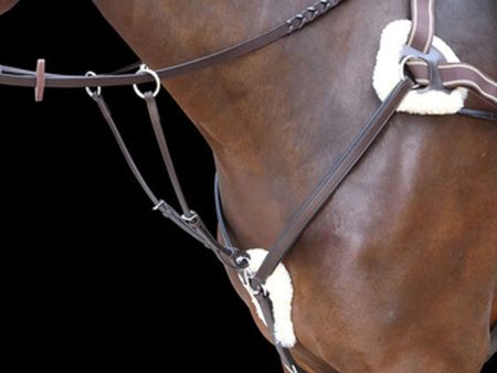 Shires Rossano 5 Point Leather Breastplate For Discount