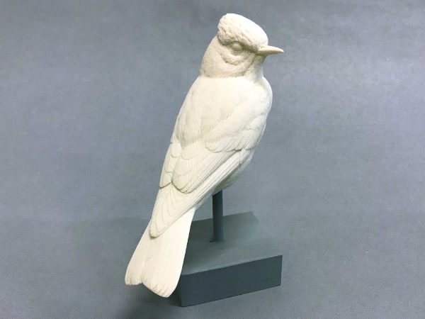 Vermilion Flycatcher Cast (2019) Online Hot Sale