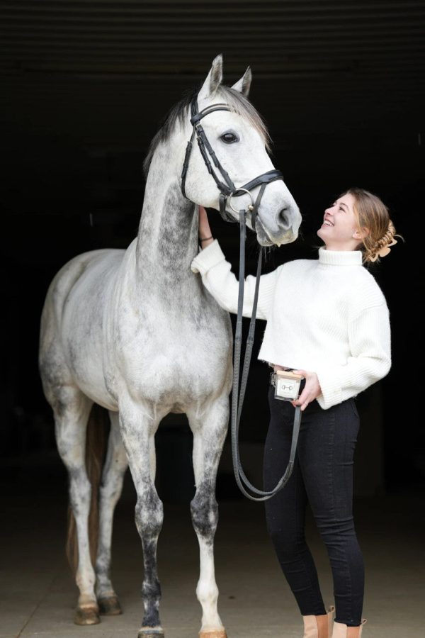 The Equine Candle Co - Frosted Whiskers For Discount