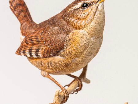 Winter Wren(painting only)-video Seminar For Discount