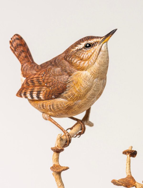 Winter Wren(painting only)-video Seminar For Discount