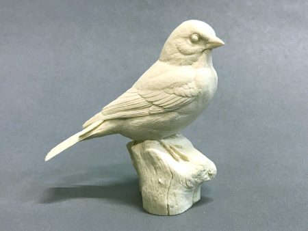 American Goldfinch on stump Cast Online