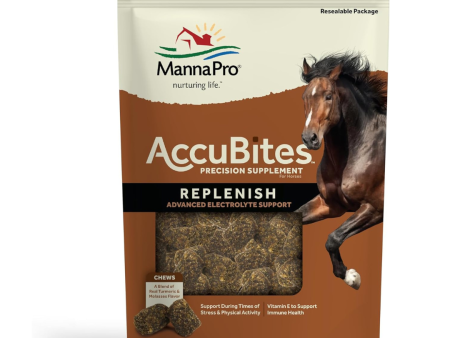 Manna Pro AccuBites Replenish Electrolyte Supplement Fashion