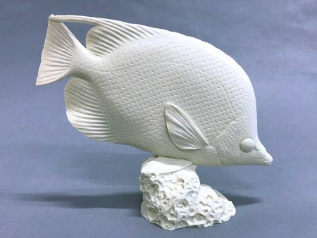 Saddleback Butterflyfish Cast For Sale