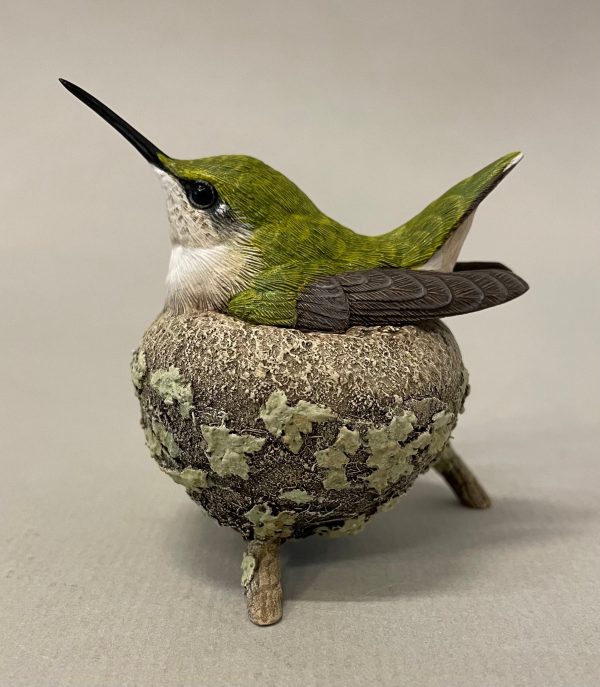 Ruby-throated hummingbird nesting-Video Seminar For Discount