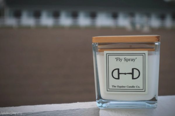 The Equine Candle Co - Fly Spray For Cheap