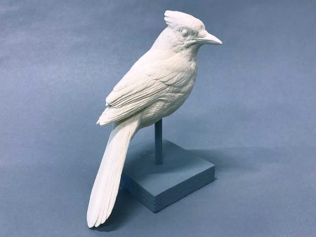 Bluejay 3 4 scale Cast on Sale