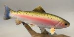 Rainbow Trout 12 inch -Video Seminar Online now