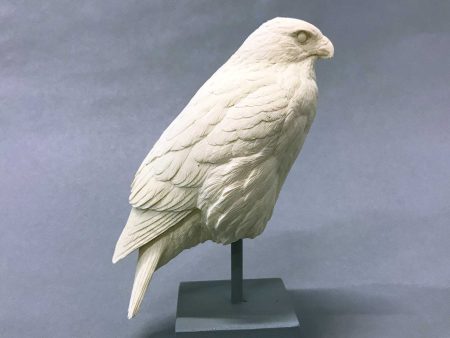 Red-tailed Hawk 1 4 scale Cast on Sale