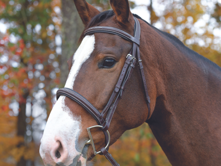 Avignon Ocala Bridle Hot on Sale