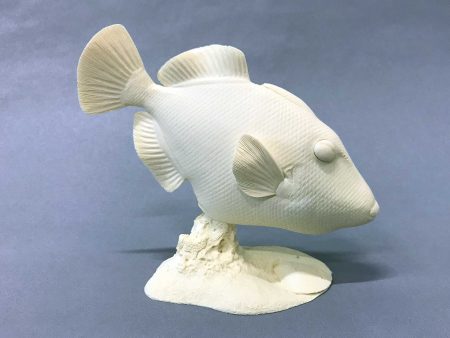 Picasso Trigger Fish Cast Online now