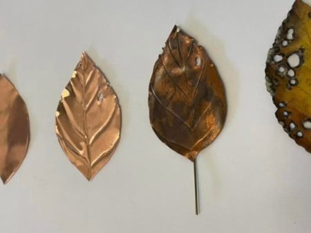 Making Leaves (habitat series)-video seminar Supply