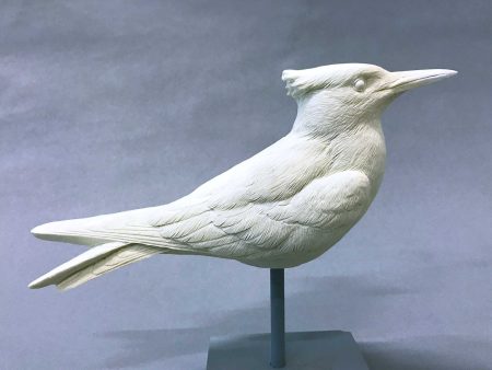 Royal Tern 1 2 scale Cast Fashion