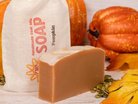 Pumpkin Limited Goat Milk Soap Hot on Sale