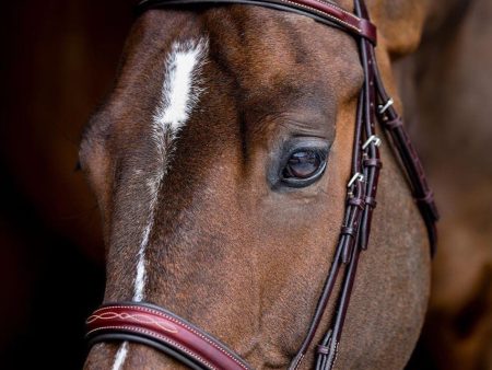 Edgewood 1  Fancy Raised Padded Bridle Discount