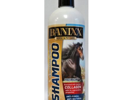 Banixx Anti-Fungal Shampoo Cheap