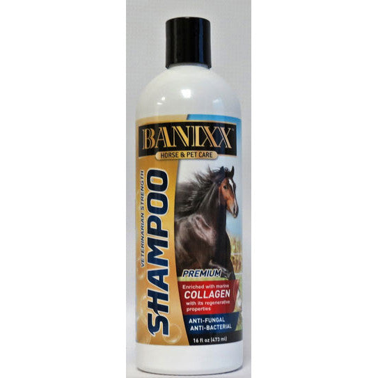 Banixx Anti-Fungal Shampoo Cheap